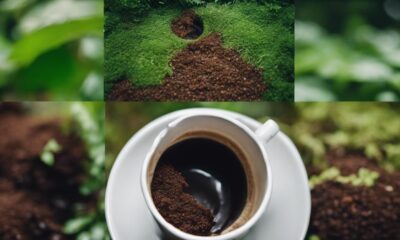 avoid coffee in septic