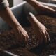 coffee ground disposal tips