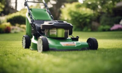 eco friendly lawn care solutions