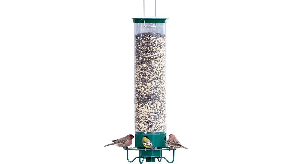 effective squirrel proof bird feeder
