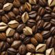 top coffee bean picks