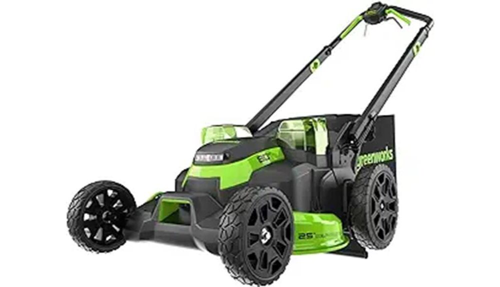 lawn care with power