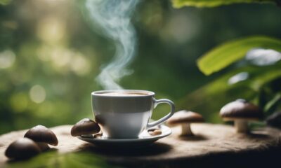 adaptogenic mushroom coffee benefits