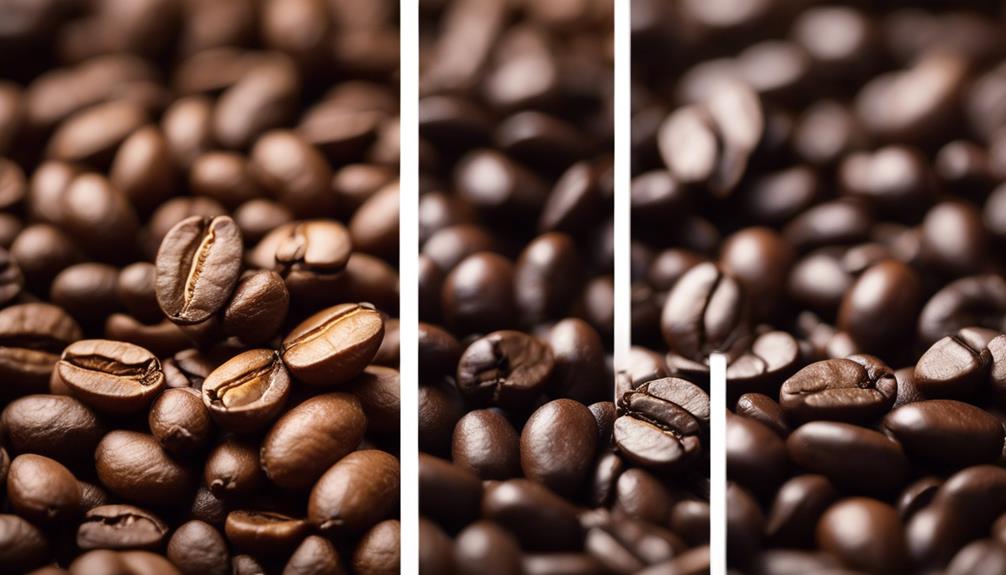 arabica versus robusta coffee