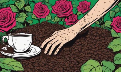 coffee grounds for roses