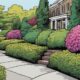 enhancing curb appeal shrubs