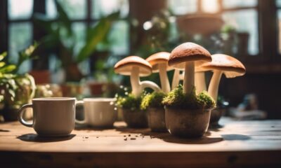 local mushroom coffee shops