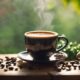 mushroom coffee health benefits