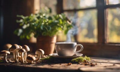 mushroom coffee morning routine