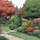 privacy shrubs for seclusion