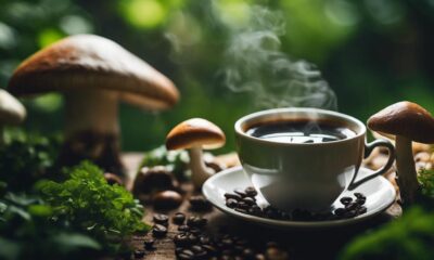 ryze mushroom coffee benefits