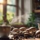 top ryze mushroom coffee blends