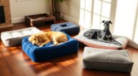 dog beds for comfort