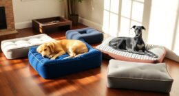 dog beds for comfort