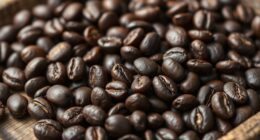 malabar monsoon coffee processing