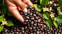 colombian coffee s global fame