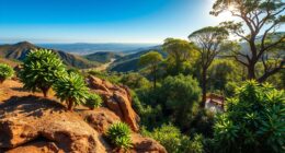 unusual coffee growing locations