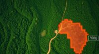 coffee companies deforestation tools