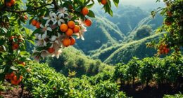 ethiopian yirgacheffe coffee essence