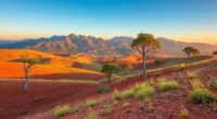 minas gerais cerrado south