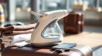 top travel garment steamer picks