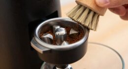 fresh grind long lasting