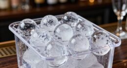 top clear ice ball makers