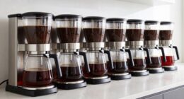 top cold brew coffee makers