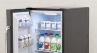 top mini fridges for dairy