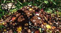 coffee waste recycling process