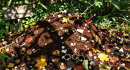 coffee waste recycling process
