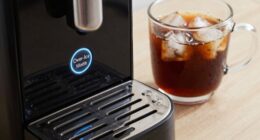 ice mode brewing settings