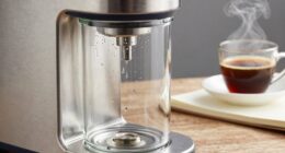 purity versus practicality debate