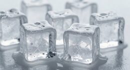 taste the icy difference
