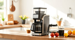 Ninja DualBrew Pro: The Ultimate Summer Coffee Maker