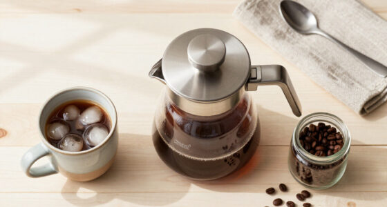 14 Best Cold Brew Coffee Makers in 2026