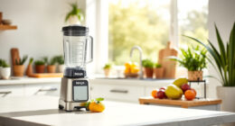 Keep Your Ninja Blast Max Blending Perfectly All Summer Long