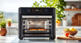 Master Your Summer Meals with the Ninja Foodi XL Pro Air Oven