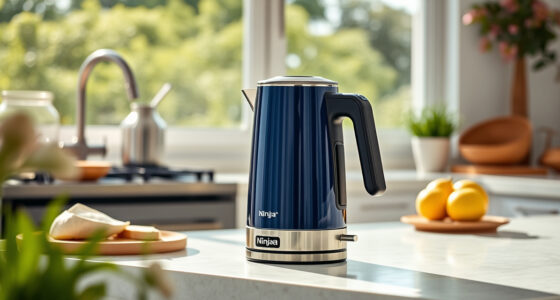 Ninja KT200BL Precision Temperature Electric Kettle — Summer Tea & Coffee Master